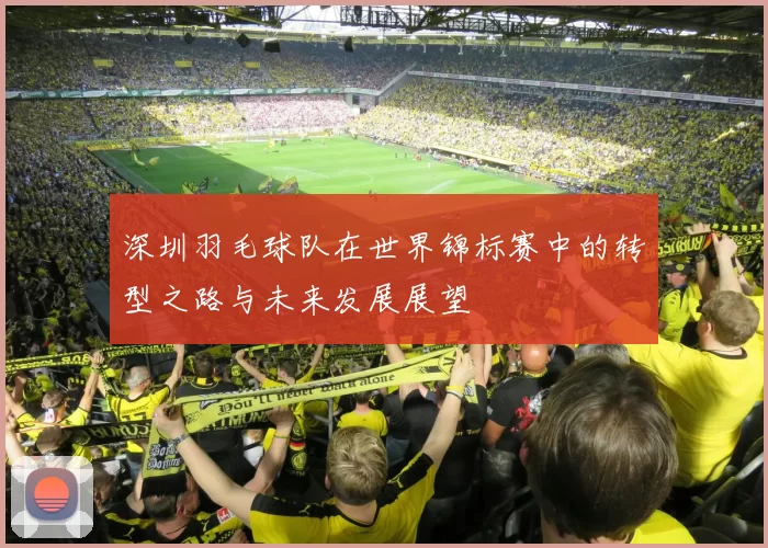 深圳羽毛球队在世界锦标赛中的转型之路与未来发展展望