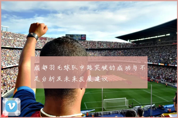 成都羽毛球队中路突破的成功与不足分析及未来发展建议