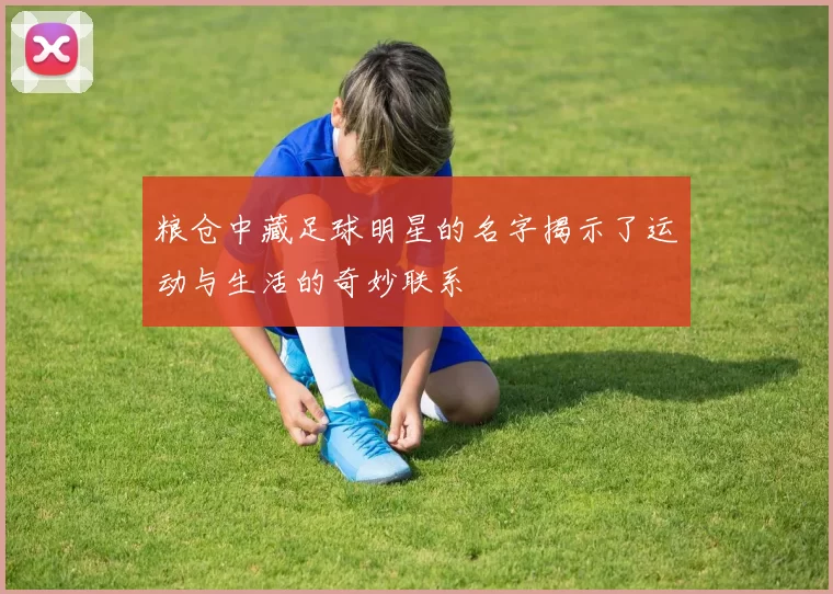 粮仓中藏足球明星的名字揭示了运动与生活的奇妙联系