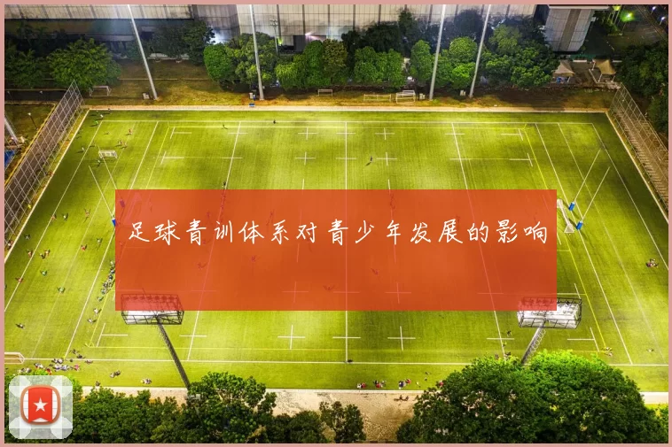 足球青训体系对青少年发展的影响