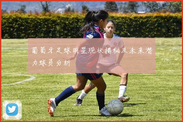 葡萄牙足球明星现状揭秘及未来潜力球员分析