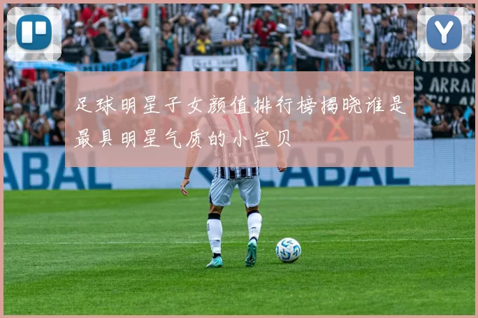 足球明星子女颜值排行榜揭晓谁是最具明星气质的小宝贝