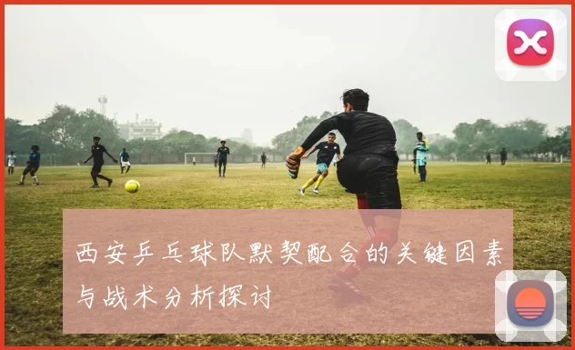 西安乒乓球队默契配合的关键因素与战术分析探讨