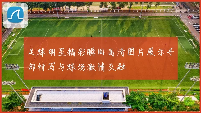 足球明星精彩瞬间高清图片展示手部特写与球场激情交融