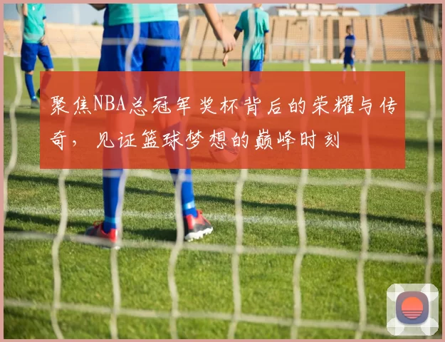 聚焦NBA总冠军奖杯背后的荣耀与传奇，见证篮球梦想的巅峰时刻