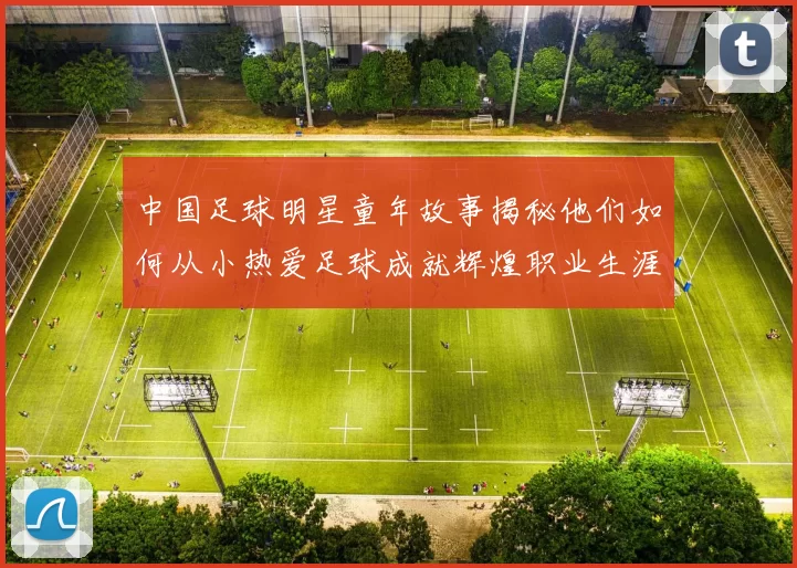 中国足球明星童年故事揭秘他们如何从小热爱足球成就辉煌职业生涯