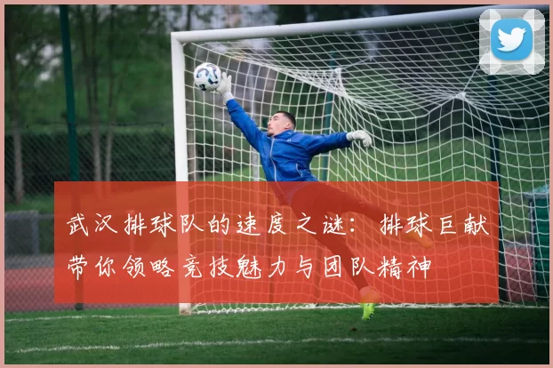 武汉排球队的速度之谜：排球巨献带你领略竞技魅力与团队精神