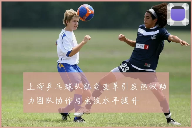 上海乒乓球队配合变革引发热议助力团队协作与竞技水平提升