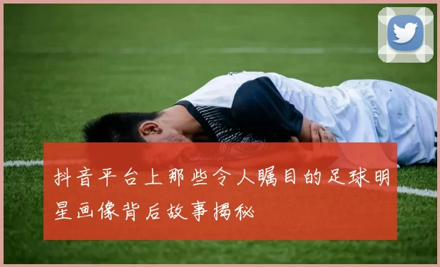 抖音平台上那些令人瞩目的足球明星画像背后故事揭秘
