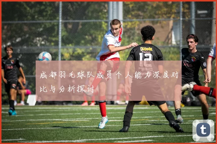 成都羽毛球队成员个人能力深度对比与分析探讨