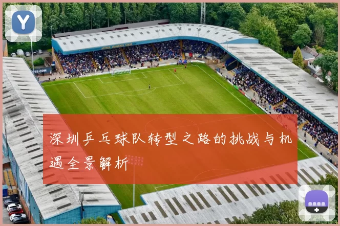 深圳乒乓球队转型之路的挑战与机遇全景解析