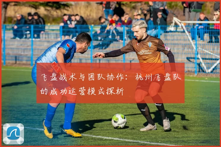 飞盘战术与团队协作：杭州飞盘队的成功运营模式探析