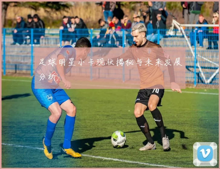 足球明星小卡现状揭秘与未来发展分析