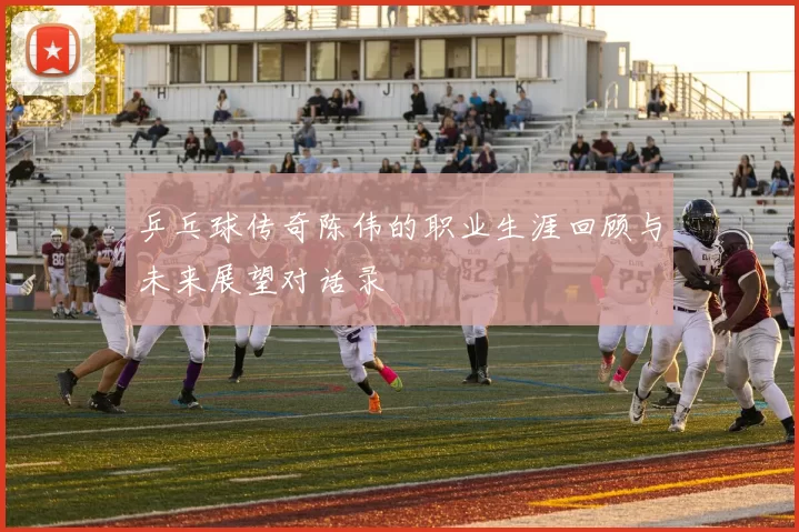 乒乓球传奇陈伟的职业生涯回顾与未来展望对话录