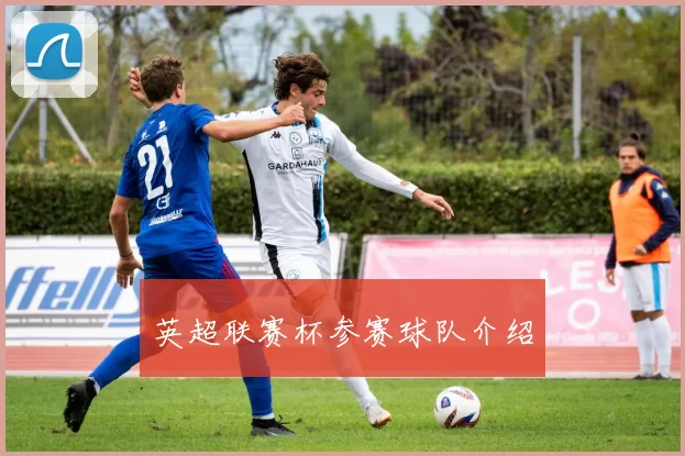 英超联赛杯参赛球队介绍