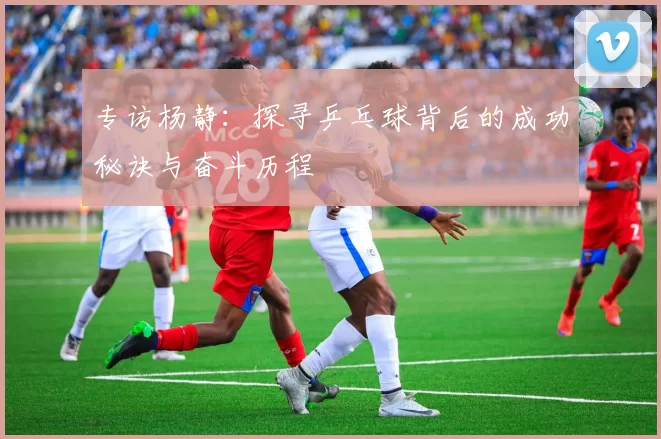 专访杨静：探寻乒乓球背后的成功秘诀与奋斗历程