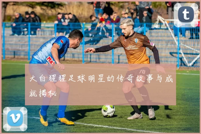 大白猩猩足球明星的传奇故事与成就揭秘